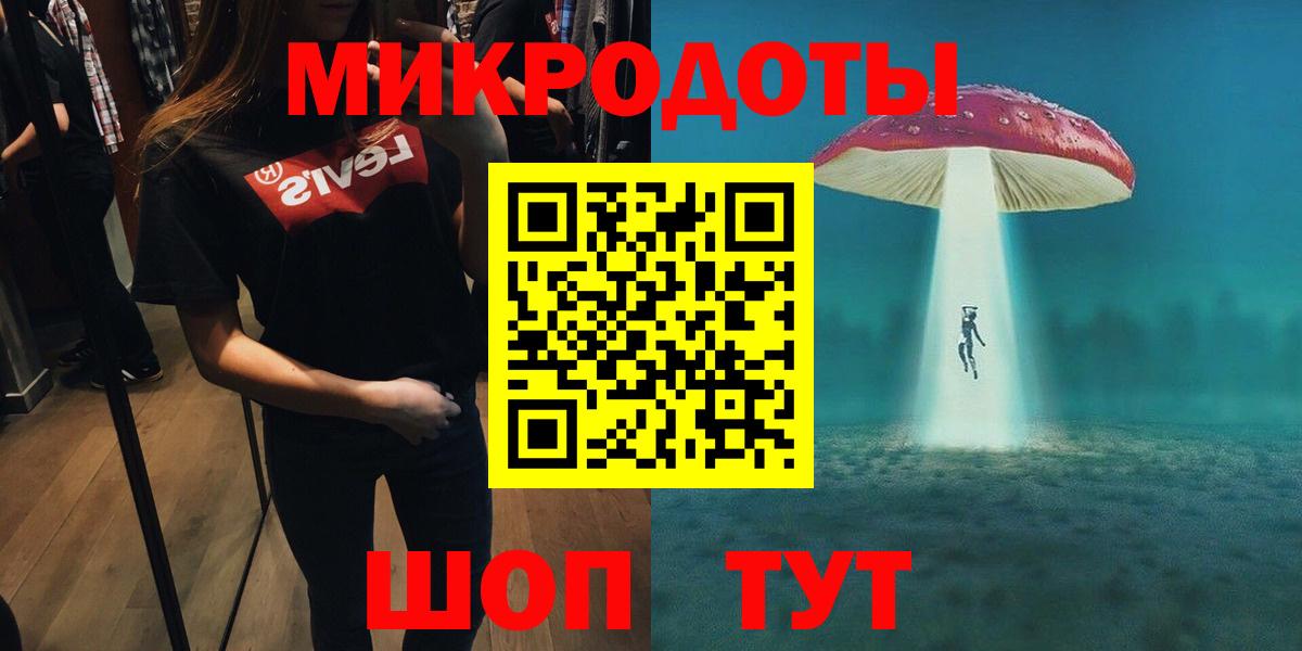 Псилоцибиновые грибы Cubensis Вязники